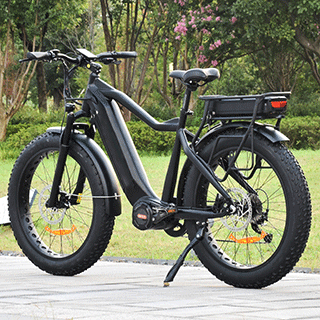 TDA15 PLUS DUAL BATTERY 1000 WATTS FAT TIRE ELECTRIC BIKE