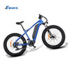 Bafang M600 500W Fat Tire Electric Bike for Sale Max Speed 45km/h Removable Lithium Battery