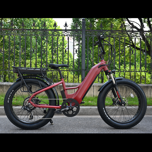 Dual Battery Electric Bike with Rear Hub Motor Design 26