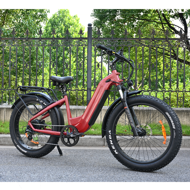 Step Through Design Electric Fat Tire Bike 26