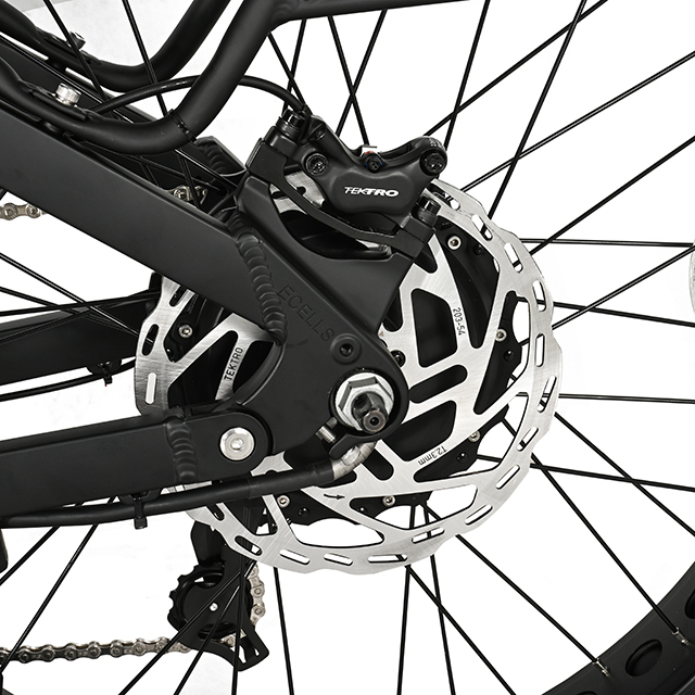 Muti-Terrain Off-road Fat Tire Electric Bike Five Star II High Power Eletric Bike