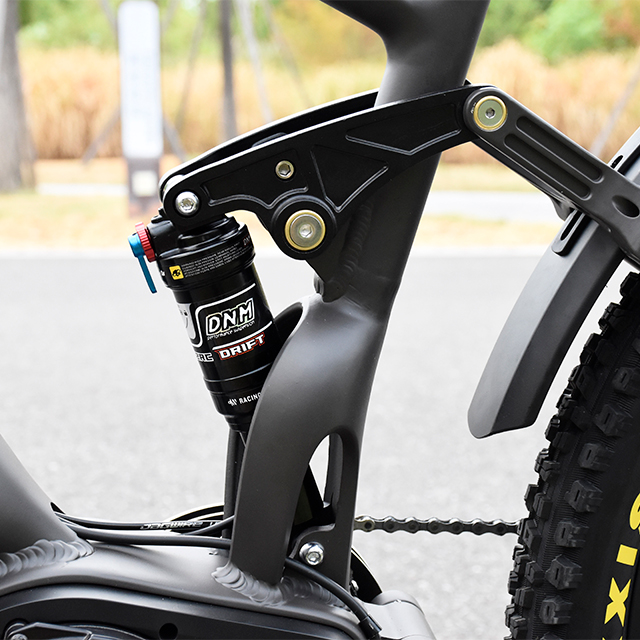 Full Suspension 1000W Power Mountain E Bike Ebike with Thinner Tire