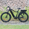 TDA15 PLUS DUAL BATTERY 1000 WATTS FAT TIRE ELECTRIC BIKE