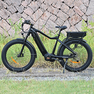 TDA15 PLUS DUAL BATTERY 1000 WATTS FAT TIRE ELECTRIC BIKE