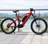 Dual Battery MTB 1000W Mid Drive Motor Bike Powerful Mountain Electric Bike