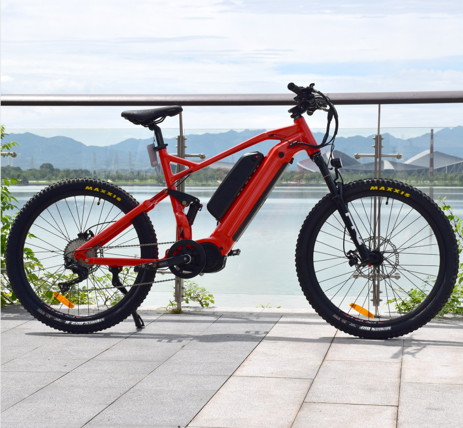 Dual Battery MTB 1000W Mid Drive Motor Bike Powerful Mountain Electric Bike