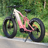 1000W/1200W Truckrun Mid Motor Electric Bike Single/dual Battery Option Fat Tire Electric Bike
