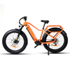 Hard Tail Bike Electric 26" Inch Fat Tyre Bike Bafang 500W Mid Motor Electric Bike 