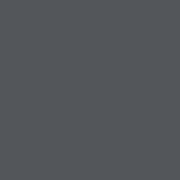 PT Cool Gray 11C