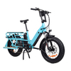 TDN04Z Long Range Cargo Electric Bike Rear Hub Motor Drive Motor Cargo E-bike Dual Battery Design