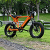 Rear Hub Motor Bike with 20
