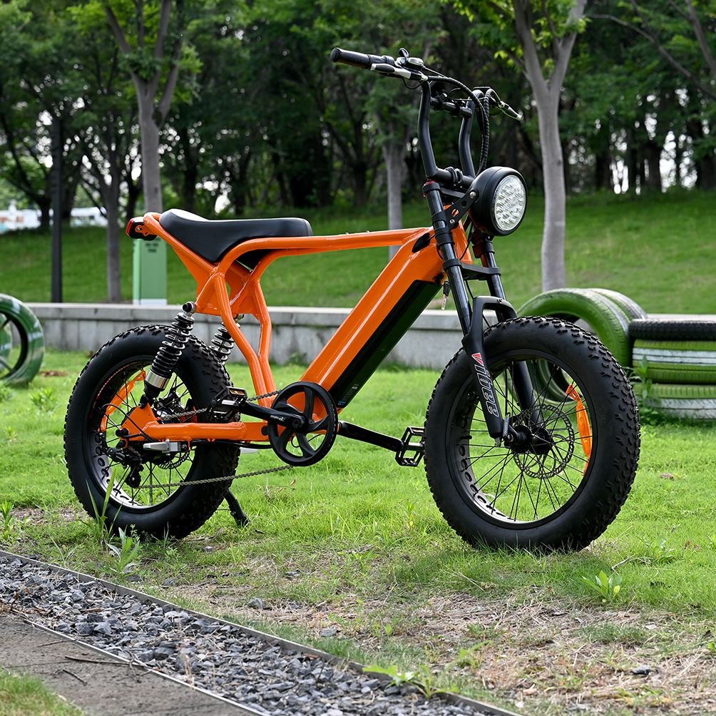 Rear Hub Motor Bike with 20