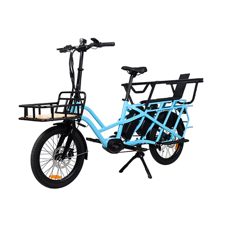 Cargo e-bike .jpg
