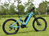 Dual Battery MTB 1000W Mid Drive Motor Bike Powerful Mountain Electric Bike