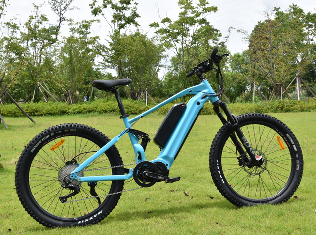Dual Battery MTB 1000W Mid Drive Motor Bike Powerful Mountain Electric Bike
