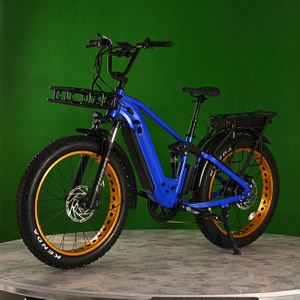 Dual Battery Eletcirc Bike High Power Electric Fat Tire Bike 1500W Hub Motor