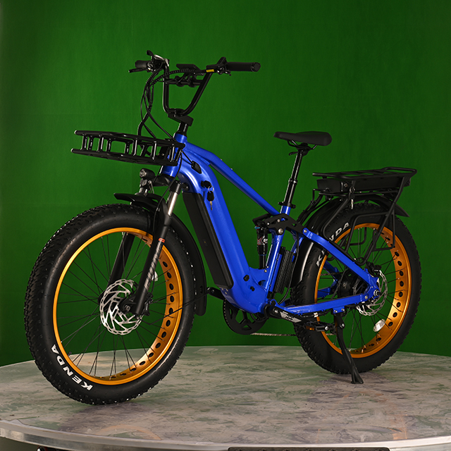 Dual Battery Eletcirc Bike High Power Electric Fat Tire Bike 1500W Hub Motor