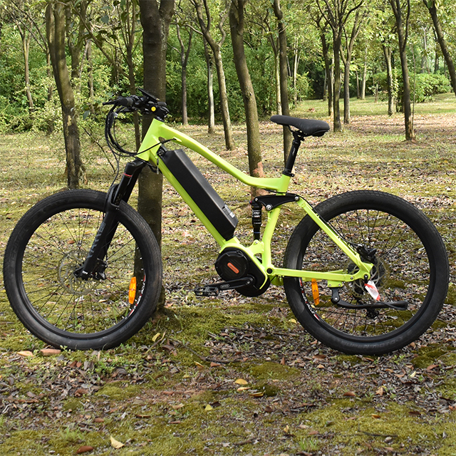 Mountain E-Bike