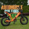Rear Hub Motor Bike with 20