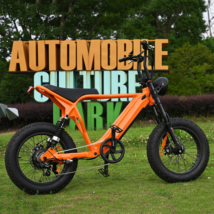 Rear Hub Motor Bike with 20